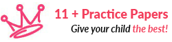11+ Practice papers logo